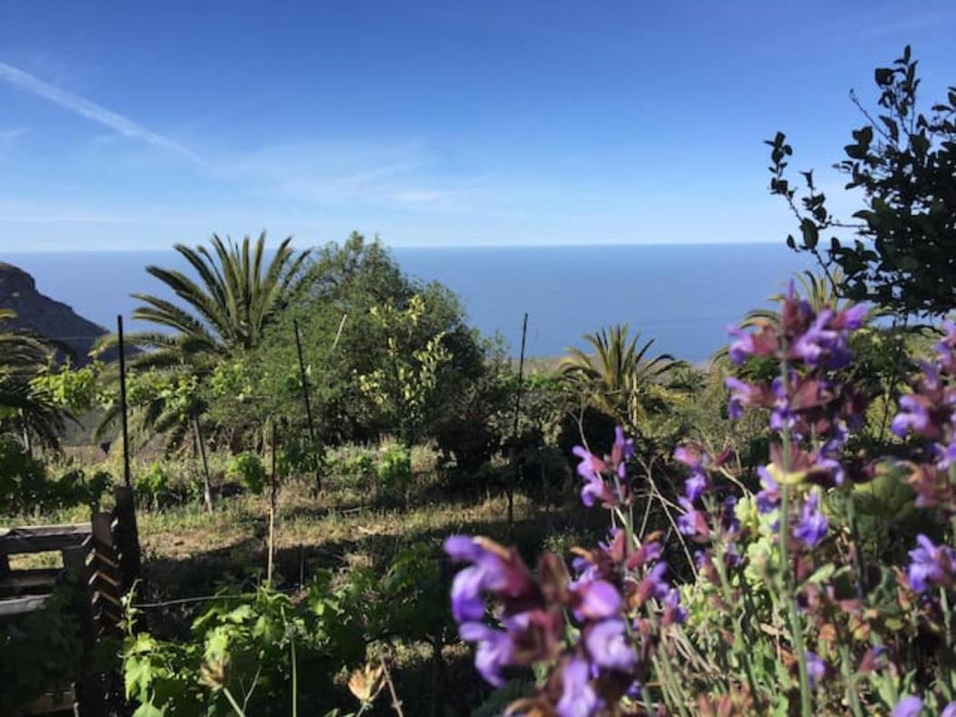Casa Buenavida Villa Alajeró Buitenkant foto