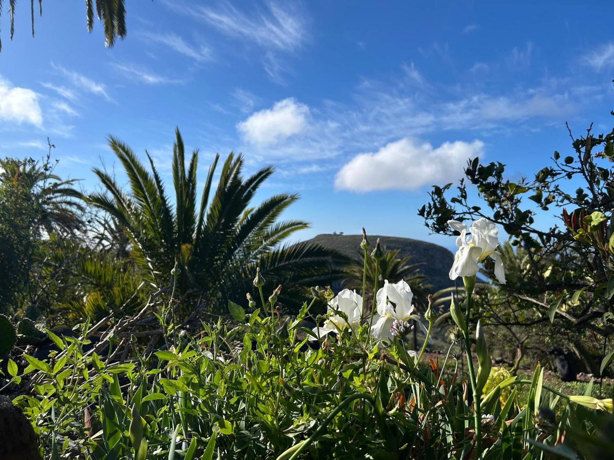 Casa Buenavida Villa Alajeró Buitenkant foto
